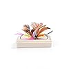 Fiblink-48pcs-Fly-Fishing-Flies-Set-Butterfly-Like-Dry-Flies-Fishing-Lure-for-Bass-Salmon-Trout