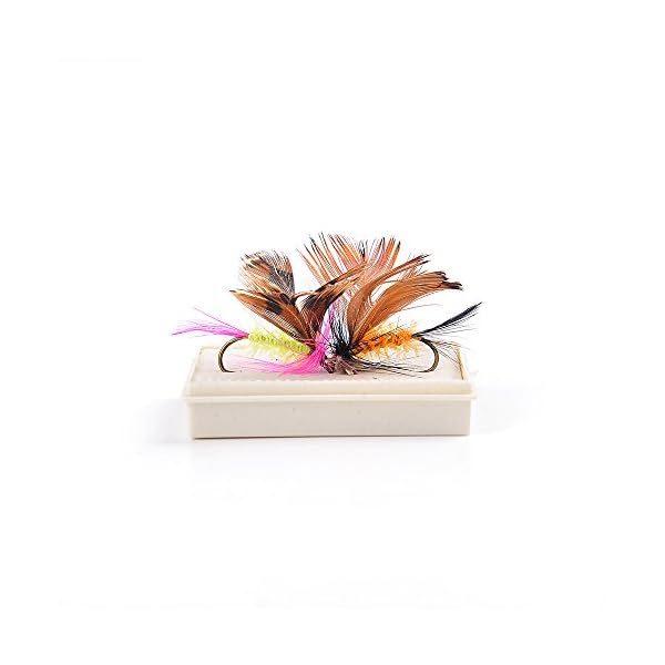 Fiblink-48pcs-Fly-Fishing-Flies-Set-Butterfly-Like-Dry-Flies-Fishing-Lure-for-Bass-Salmon-Trout
