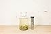 Bi Luo Chun Spring Snail Loose Leaf Chinese Tea - Hong Kong Tea Company Sourced Premium AAA Grade Ultra-Fine White/Green Tea - 1.5oz