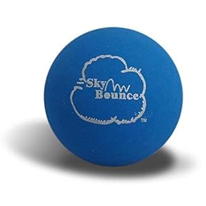 Sky Bounce Balls Blue Color Rubber Handball for Recreational Handball (Hand Ball), Stickball, Racquetball, Catch, Fetch…