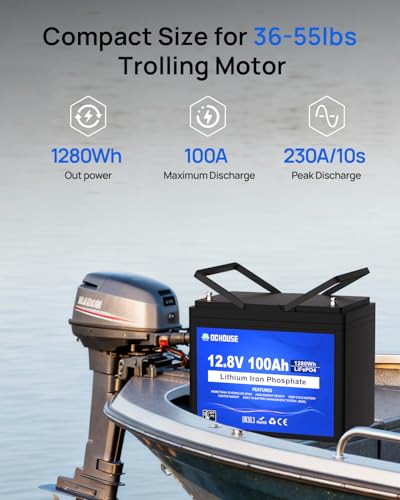 DC HOUSE 12V 200Ah (2 Packs 100AH) LiFePO4 Lithium Battery, Bluetooth & Low Temp Protection, Group 24, Up to 15000 Cycles, 100A BMS, Perfect for Camping, RV, Solar System, Off-Grid