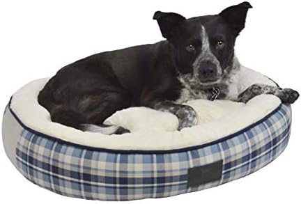 best food for teacup chihuahua puppy