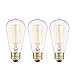 Globe Electric 40W Vintage Edison S60 Squirrel Cage Incandescent Filament Light Bulb 3-Pack, E26 Base, 145 Lumens 31324 primary