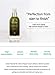 d'alba Piedmont PEPTIDE NO SEBUM KOREAN REPAIR CREAM-pH balanced & antioxidant repair cream removes excess oil, clarify, and Great for acne-prone and sensitive skin (2.5 oz.)
