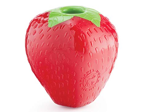Planet Dog Orbee-Tuff Strawberry Durable Dog Chew Toy