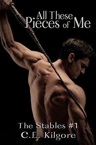 All These Pieces Of Me (The Stables Book 1)