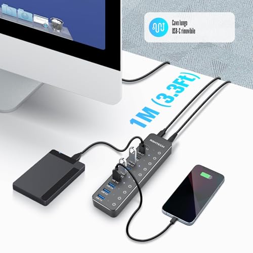 USB Hub Powered, RSHTECH USB 3.2/USB C Hub 10 Ports with USB-A 3.2 and 2x USB-C 3.2 10Gbps Data Ports, 7 USB-A 3.0 Ports and 12V/5A 60W Power, Individual Switches USB HUB, RSH-ST10C