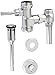 American Standard 6045510.002 1.0 GPF Manual FloWise Urinal Flush Valve, Chrome