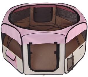 purebred golden retriever price