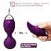 Kegel Exercise Weights Ben Wa Ball Sets for Women Kegel Balls for Beginners & Pleasure- Doctor Recommended & Girls Bladder Control & Pelvic Floor Exercises (Purple)