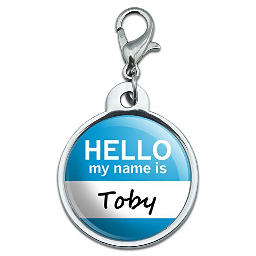 Chrome Plated Metal Small Pet ID Dog Cat Tag Hello My Name Is TE-UR - Toby