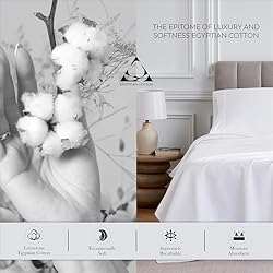 AIREOLUX Egyptian Cotton Queen Bed Sheets Set Light