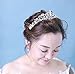 Butterfly Craze Women Bridal Princess Tiara Crown with Comb for Weddings Parties Special Occasion