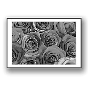 Framed Canvas Wall Art for Living Room, Bedroom Rose Flowers Canvas Prints for Modern Home Decoration Ready to Hang - 16"x24" inches