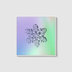 Framed Canvas Wall Art for Living Room, Bedroom Snowflake Theme Canvas Prints for Home Decoration Ready to Hang - 16x16 inches