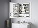 Kohler 99007-TLC-NA Verdera Lighted Medicine Cabinet, Aluminum