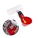 Walkingpround 6 Pack Red Poultry Water Drinking Cups- Chicken Hen Automatic Drinkers Birds Waterer and PVC Fittings