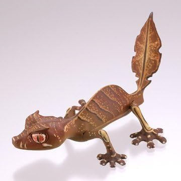Amazon Capsule Q Museum ヤモリ大全 レオパードケッコー6 エダハヘラオヤモリ 1つ ロボット 子ども向けフィギュア おもちゃ