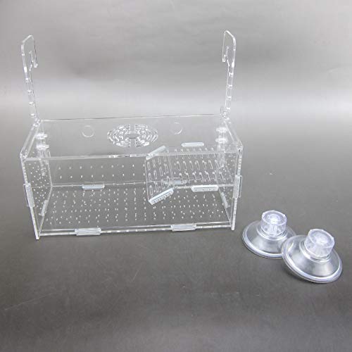 Alfie Pet – Vida Hang-On Aquarium Breeder Box for Small Reptile, Turtle