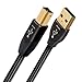 AudioQuest Pearl 1.5 m USB A-B Cable - Black (2.0, Male/Male)