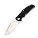 Kizer Cutlery Folding Pocket Knives Flipper Knife Liner Lock Black G10 Handles Tactical EDC Knife, Kizer Ray Laconico Intrepid V4468A1