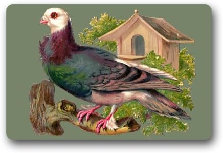 23.6"(L)x15.7"(W),3/16"-House Pigeon Branch Door Mat Durable Heat-resistant Non-woven Fabric Top Doormat