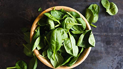 Pesto genovese met zwarte truffel Basilicum pesto met cashew, pijnboompitten, kaas, romige en aromatische truffel pesto… - Afbeelding 5