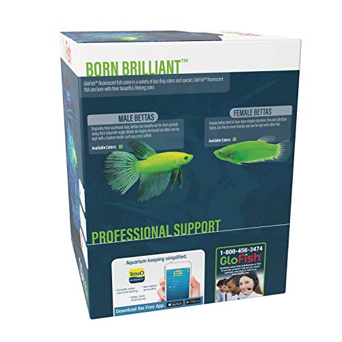 Tetra GloFish Betta Aquarium Kit 1.5 Gallons, Easy Setup and