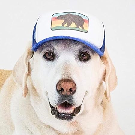hats for large dogs