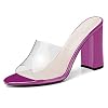 Eldof-Womens-High-Heel-Sandals4-inches-Block-Heel-with-Transparent-PVC-SandalsComfort-Backless-Party-Dress-Slippers