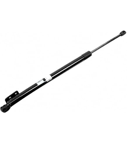 Amazon.com: Genuine OEM 81780B8000 Tail Gate Lifter Cylinder, RH