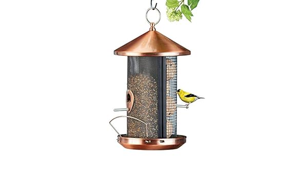 Amazon Com Copper Look Bird Feeder With Two Perch Feeding