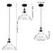 LEONLITE 1-Light Industrial Clear Glass Pendant Light Fixture, UL Listed, E26 Base, Edison Vintage Style Lampshade, Adjustable Height, for Kitchen, Dining Room, Restaurant, Cafe