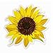Sunflower Floral Sticker - 4