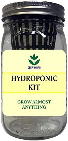 Hydroponic Garden Jar Kit - Grow It All