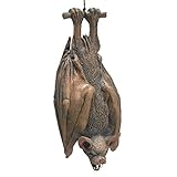 Bristol Novelty HI124 Hanging Bat, Brown, One Size