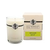 Archipelago Botanicals Archipelago Botanicals Signature Candle - Wasabi Mint - Wasabi Mint