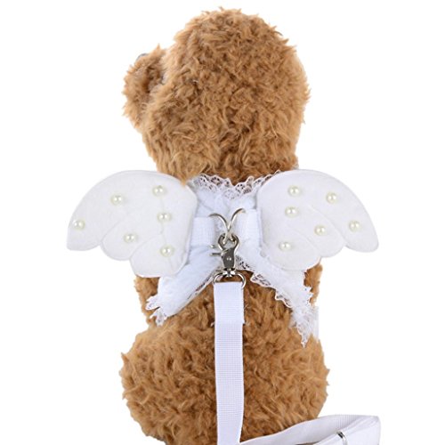 Binmer(TM) Angel Wings Pet Chest Strap Comfort Soft Breathable Dog Harness Pet Vest Collars Rope Dog Chest Strap Leash Set Collar for Small puppy (White, S)