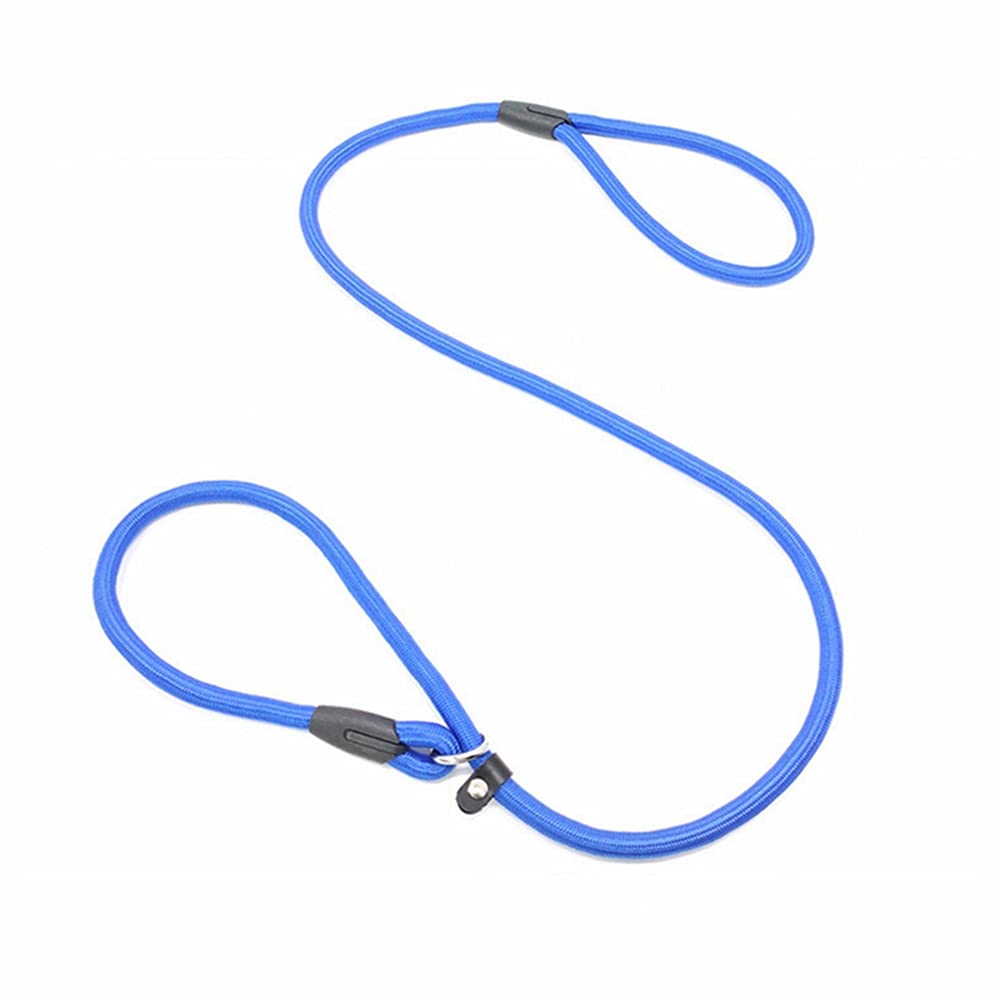 Angelkiss Dog Slip Lead Nylon Dog Training Leash Rope Lead Traction Rope Pet Lead Leash for Small Medium Dogs(Blue)