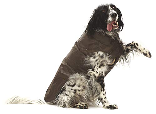 Croci Montreal Raincoat, 15 cm, Brown