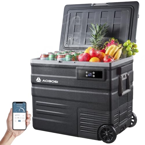AAOBOSI 65L Kompressor Kühlbox mit APP, -20°C bis +20°C