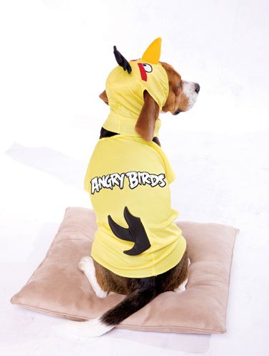 Angry Birds Yellow Bird Pet Costume