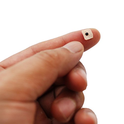 Dragon Acupuncture Vaccaria Ear Seeds 600 counts Refill Pack