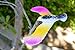 Balancing Bird Toy 6.5 Inch Wing Span-Colors May Vary by C&H Solutions