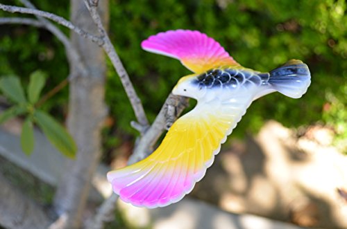 Balancing Bird Toy 6.5 Inch Wing Span-Colors May Vary By C&H Solutions