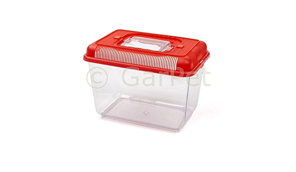 Fauna Box Acuario Terrario Platillos plástico Faunario Caja ...