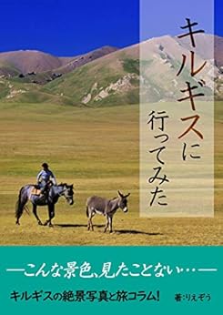 Kyrgyzstan currency picture