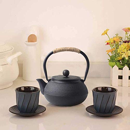 Hwagui Tea Kettle, Japanese Cast Iron Teapot, Tea Pot with Infuser for
