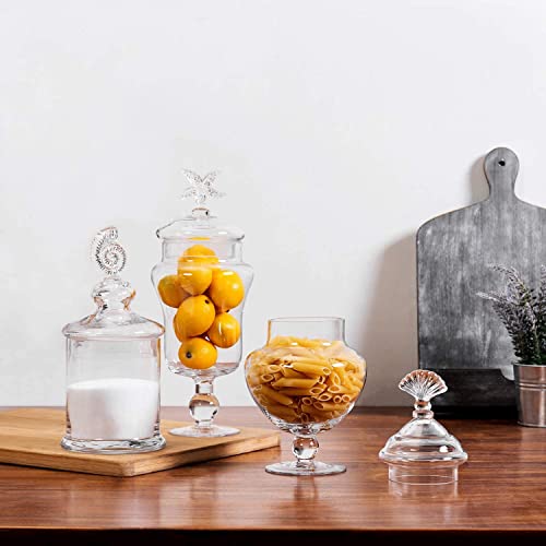 Juego de 3 tarros de botes de vidrio transparente con manija Seashell / recipientes de almacenamiento de alimentos / centros de mesa decorativos