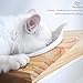 ViviPet Cat Dining Table - 15° Tilted Platform Pet Feeder_ Solid Pine Stand with Ceramic Bowls – Elevated Cat Feeder Raised Cat Bowl Mykonos Collection (Wood Stand, White Bowls)